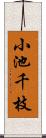 小池千枝 Scroll