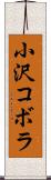 小沢コボラ Scroll