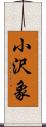 小沢象 Scroll