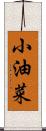 小油菜 Scroll
