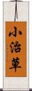 小治草 Scroll