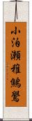 小泊瀬稚鷦鷽 Scroll