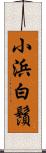 小浜白鬚 Scroll