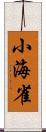 小海雀 Scroll