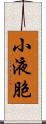 小液胞 Scroll