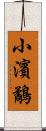 小濱鷸 Scroll