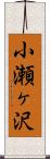 小瀬ヶ沢 Scroll