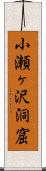 小瀬ヶ沢洞窟 Scroll