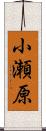 小瀬原 Scroll