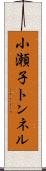 小瀬子トンネル Scroll