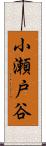 小瀬戸谷 Scroll