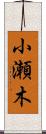 小瀬木 Scroll