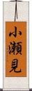 小瀬見 Scroll