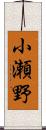 小瀬野 Scroll