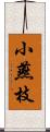 小燕枝 Scroll