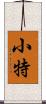 小特 Scroll