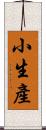 小生產 Scroll