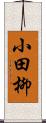 小田柳 Scroll