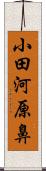 小田河原鼻 Scroll