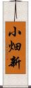 小畑新 Scroll