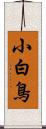 小白鳥 Scroll