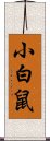 小白鼠 Scroll