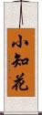 小知花 Scroll