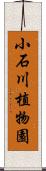 小石川植物園 Scroll