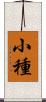 小種 Scroll