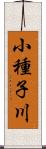 小種子川 Scroll