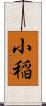 小稲 Scroll