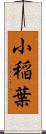 小稲葉 Scroll