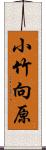 小竹向原 Scroll