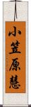 小笠原慧 Scroll