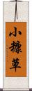 小糠草 Scroll