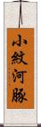 小紋河豚 Scroll