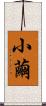 小繭 Scroll