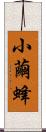 小繭蜂 Scroll