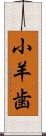 小羊歯 Scroll