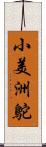 小美洲鴕 Scroll