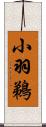 小羽鵜 Scroll