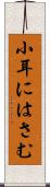 小耳にはさむ Scroll