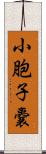 小胞子嚢 Scroll