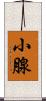 小腺 Scroll