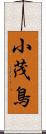 小茂鳥 Scroll