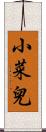 小菜兒 Scroll