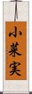 小菜実 Scroll