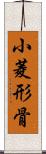 小菱形骨 Scroll