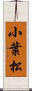 小葉松 Scroll