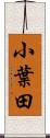 小葉田 Scroll